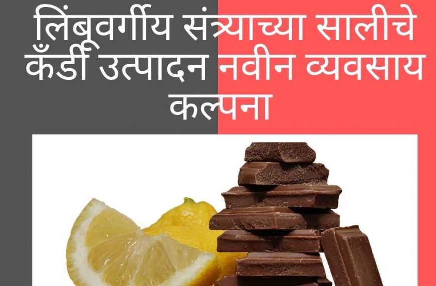 लिंबूवर्गीय संत्र्याच्या सालीचे कँडी उत्पादन नवीन व्यवसाय कल्पना