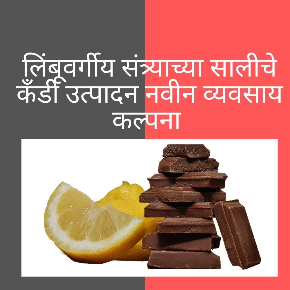 लिंबूवर्गीय संत्र्याच्या सालीचे कँडी उत्पादन नवीन व्यवसाय कल्पना