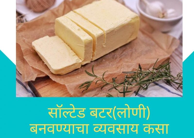 New Business Idea In Marathi For BUTTER Manufacturing