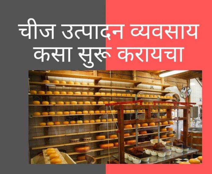 New Business Idea in Marathi - Cheese Manufacturing