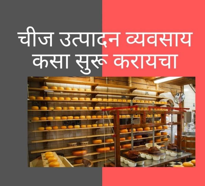 New Business Idea in Marathi - Cheese Manufacturing